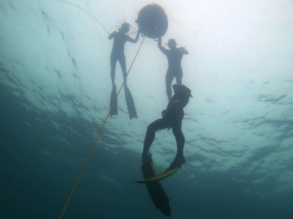 freediving wirh friend