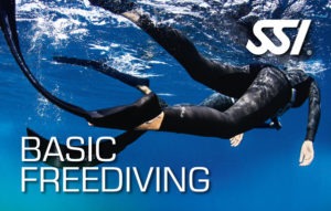 เรียน SSI Basic Freediving