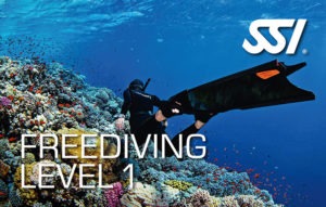 SSI-free-diving-level-1 picture