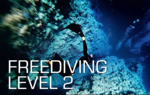 SSI-free-diving-level-2-Course